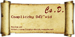 Csapliczky Dávid névjegykártya